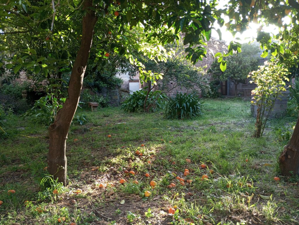 Vista del giardino interno di Casa