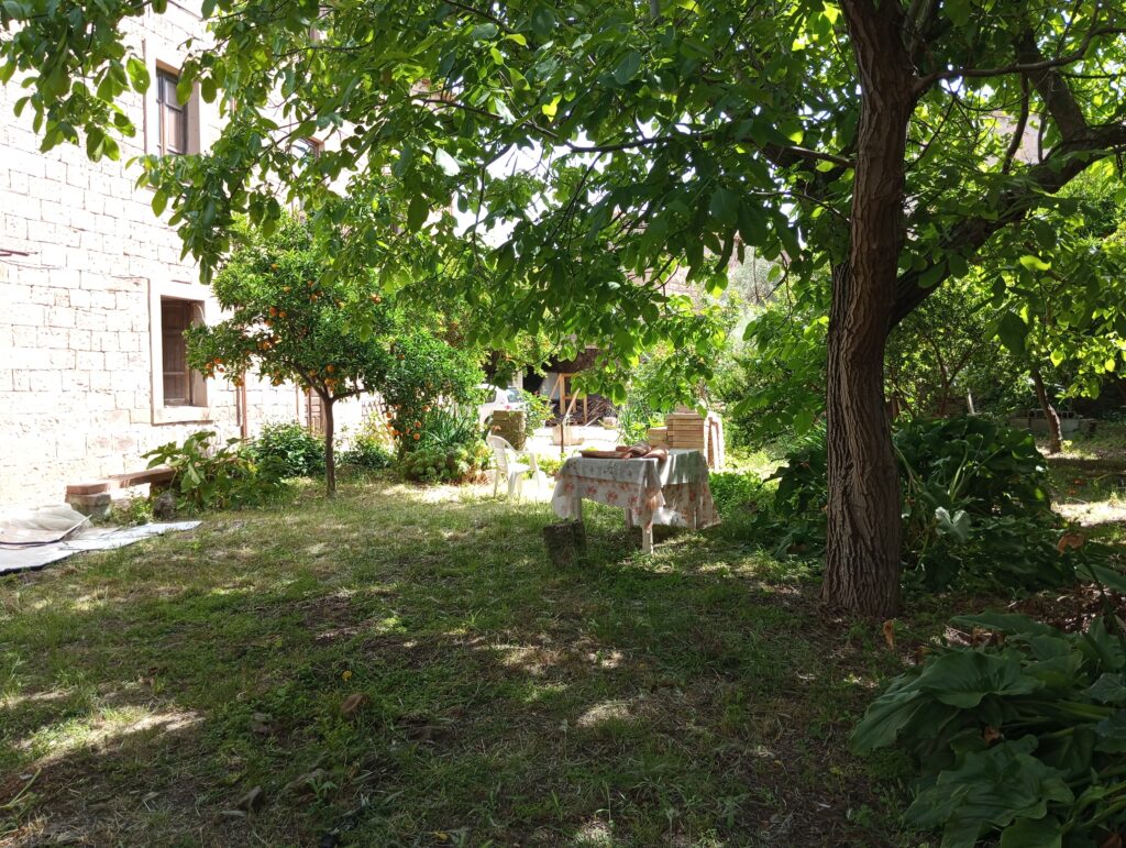 Vista del giardino interno di Casa